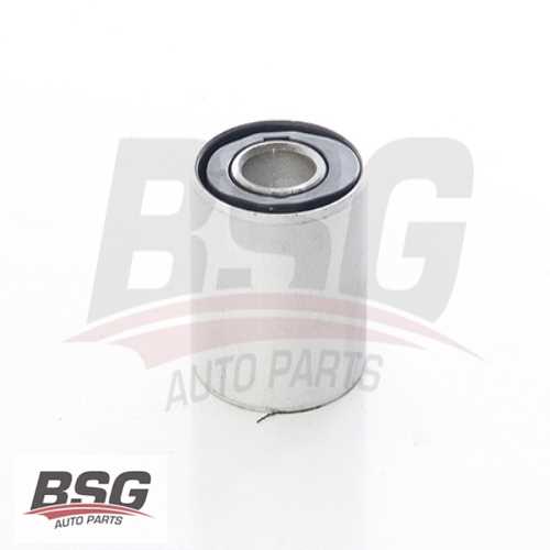 SALINCAK BURCU  BM W164 06-