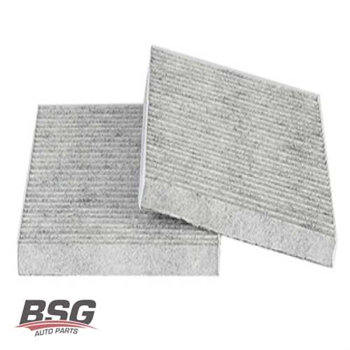 POLEN FILTRESI KARBONLU TAKIM BM X3 F25-X4 F26 11-18 Ürün Görseli