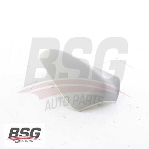 AYNA KAPAGI SOL (ASTARLI) B.M 301 / C-ELYSEE 2012-