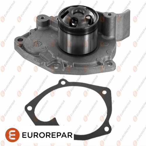 DEVIRDAIM  1.9 dCi MEGAN III / SCENIC III 09-