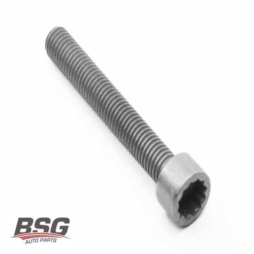 ENJEKTÖR CIVATASI  BJK-BJM 2,5 TDI CRAFTER 06-12 Ürün Görseli