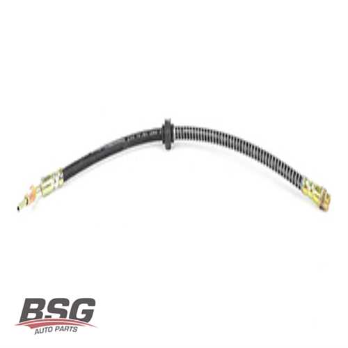 FREN HORTUMU ÖN  B.M 306 93-01 Ürün Görseli