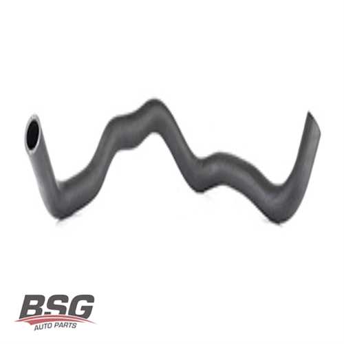 RADYATÖR HORTUMU ALT  BENZIN I10 2008- Ürün Görseli