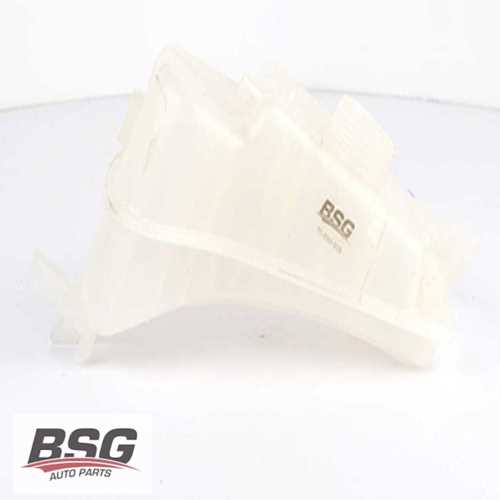 RADYATÖR YEDEK SU DEPOSU (KAPAKLI) B.M PARTNER/BERLINGO 99-