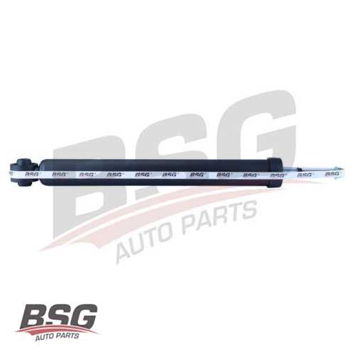 AMORTISÖR ARKA GAZ 1.6:1.5 DCI:1.2 DIGT:1.6 DIGT JUKE (F15) 10- Ürün Görseli