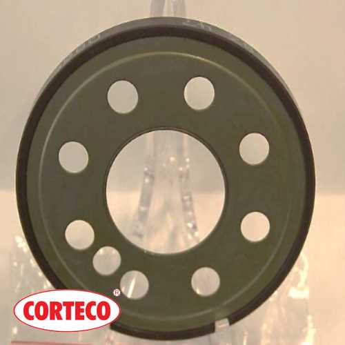 ARKA KEÇE KAPAGI 270-274-260-133-264 212-204-176-246-117/BM 2012-