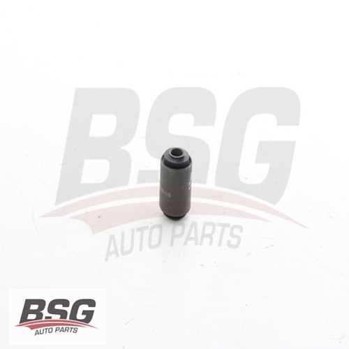 SALINCAK BURCU  BM R9/R11/MANEGER/SOLENZA 88-