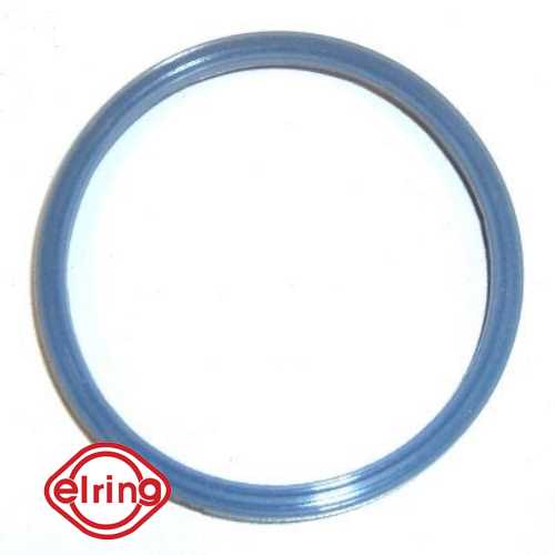 EMME MANIFOLD ORINGI  BM TRANSIT V-184 01-