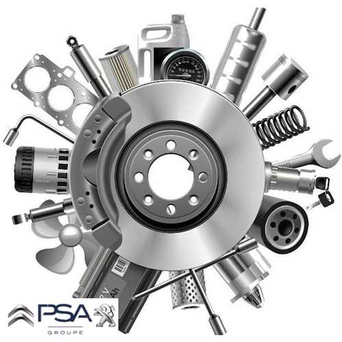 SIS FARI  DV6FC 3008 16- Ürün Görseli