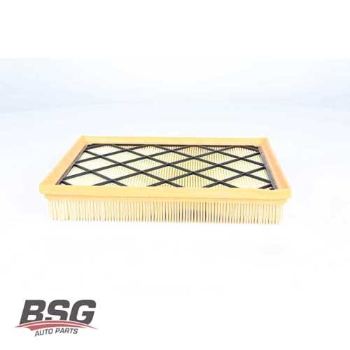 HAVA FILTRESI (DIZEL-BENZIN) BM FOCUS IV KUGA III 18- Ürün Görseli