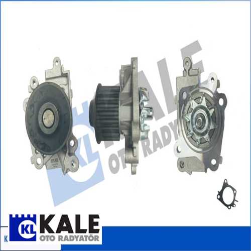 JAPON CARISMA JAPON DEVIRDAIM