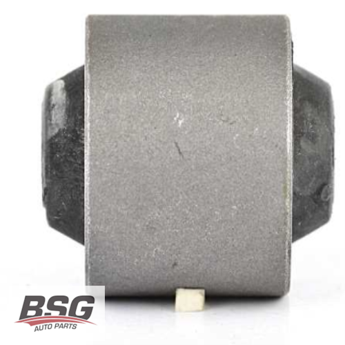 DINGIL BURCU ARKA  BM REKORD E 78-86