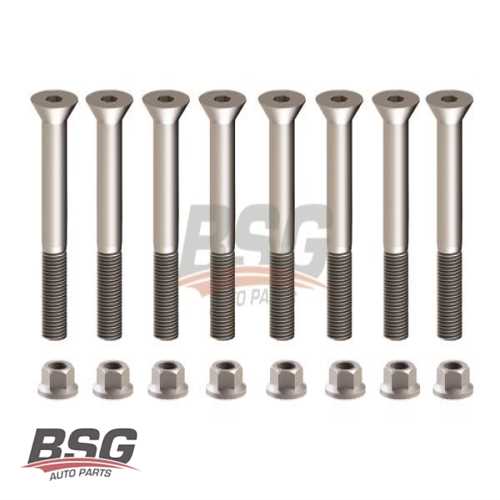 TAMIR SETI, DORSE BAGLANTI KAPLINI BESINCI TEKER BAGLANTI CIVATASI (M16*110)  . 