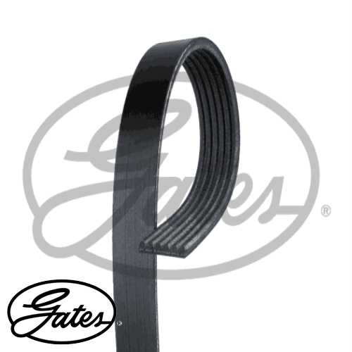 FORD ESCORT-CLX-CONNECT/DOBLO FORD V KAYISI BB-6PK1818 Roadmax