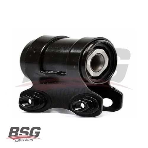 SALINCAK BURCU  BM CMAX-FOCUS 01-