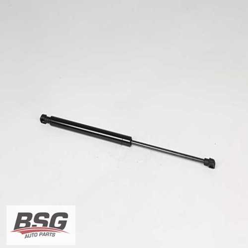 BAGAJ AMORTISÖRÜ  BM CLIO III (BR0/1, CR0/1) 04-10