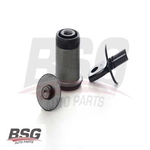 SALINCAK BURCU KÜÇÜK BM INSIGNIA B 18- Ürün Görseli