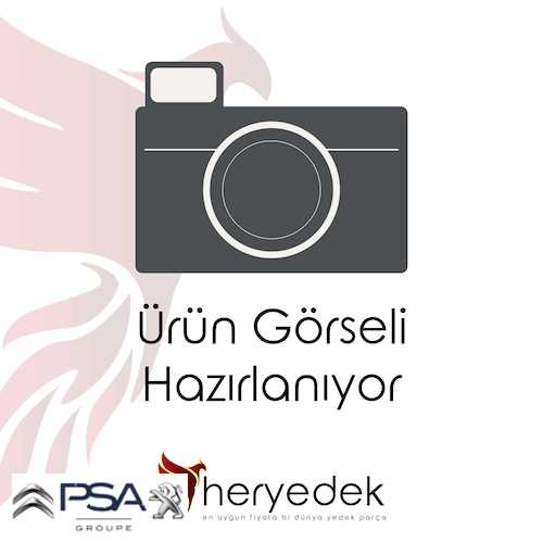 DIJITAL EKRAN   B.M 3008/5008 2016- Ürün Görseli