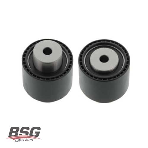 EKSANTRIK GERGI RULMANI  1.9 DW8 PARTNER/306/206 99-