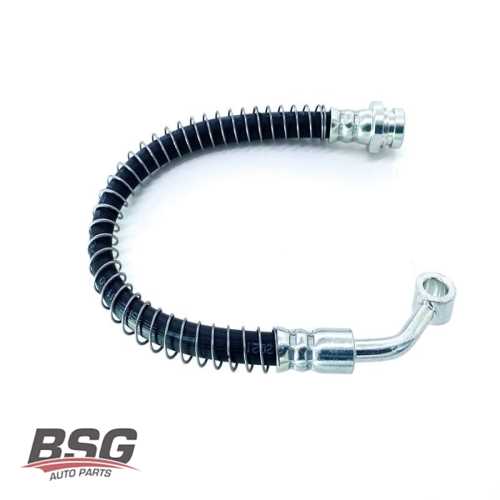 FREN HORTUMU ÖN SAG  DZL BONGO 05-20