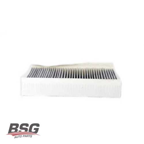 POLEN FILTRESI KARBONSUZ  407 04-