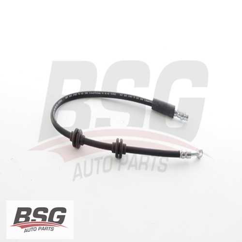 FREN HORTUMU ÖN  BM MEGANE IV / SCENIC IV / TALISMAN 16- Ürün Görseli