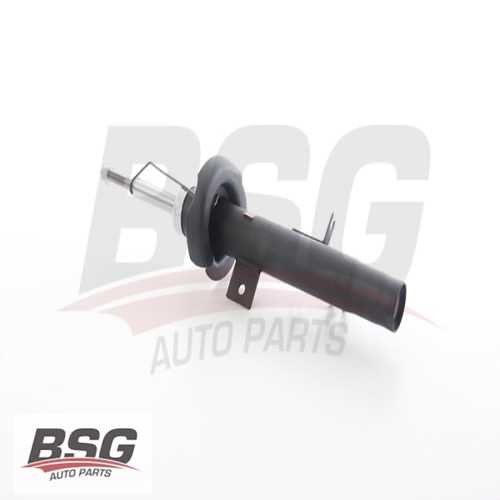 AMORTISÖR ÖN SOL  B.M C2/C3 02-