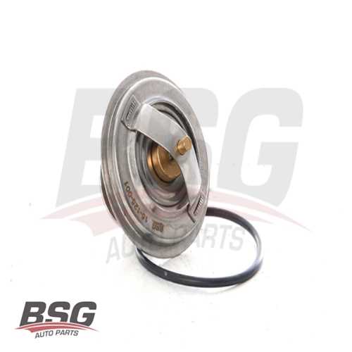 TERMOSTAT ( TEK ) M40-M20-M50 E30-34-36 88-95 Ürün Görseli