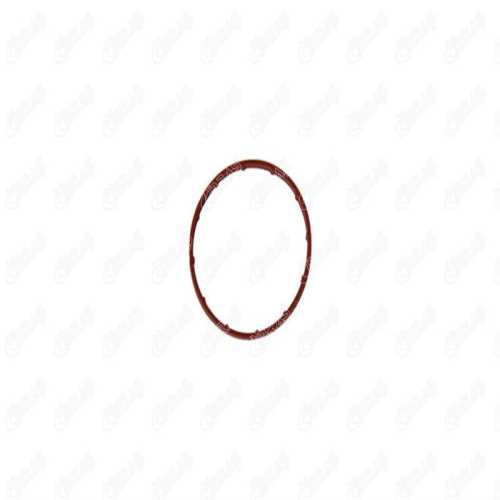 PSA 206/307/C3/FIESTA PSA VAKUM POMPA CONTASI Ürün Görseli