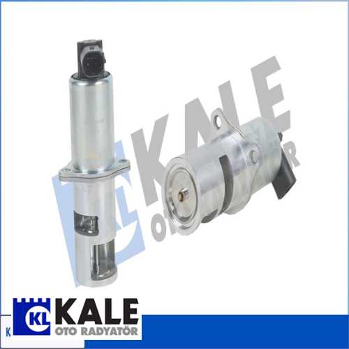 RENAULT MEGANE II / NISSAN PRIMERA RENAULT EGR VALFI