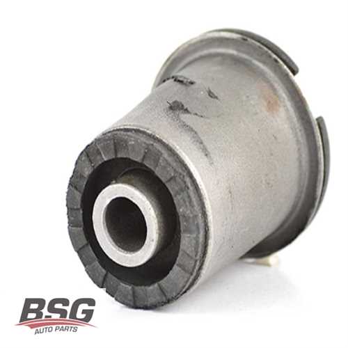 SALINCAK BURCU  BM REKORD 78-86