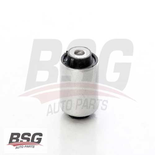 SALINCAK BURCU ARKA  BM 117-156-176-246 2012-2018