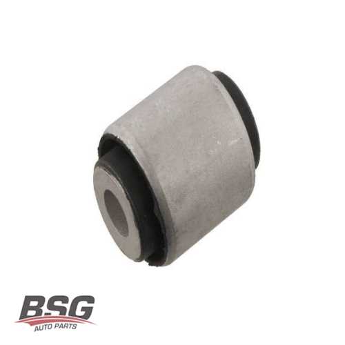 SALINCAK BURCU ARKA 29316 01 BM A6 05-11