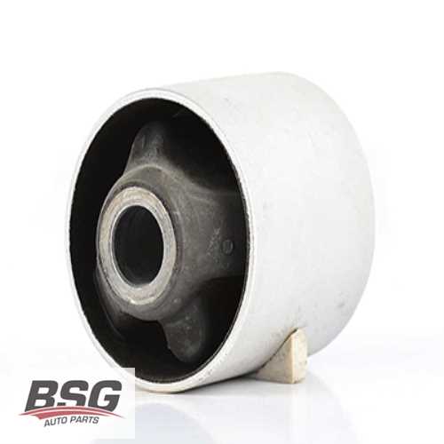 SANZUMAN ÇATAL BURCU ARKA 37099 / 25379 01 BM T4 91-03