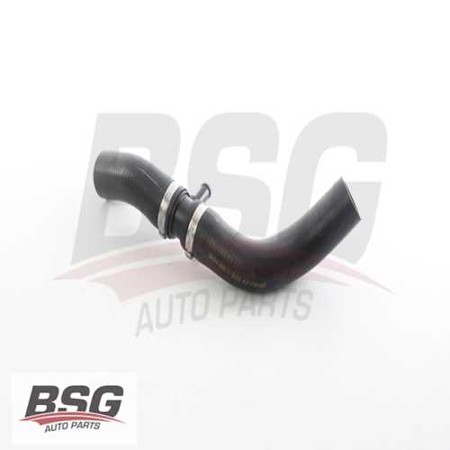 RADYATÖR HORTUMU ÜST . 1.6 JUKE (F15) 10-19 Ürün Görseli