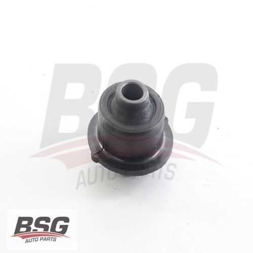 SALINCAK BURCU  B.M C2/C3 03-