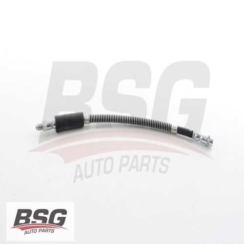 FREN HORTUMU ÖN  BM CLIO II / SYMBOL I / SYMBOL II / TWINGO II 98-