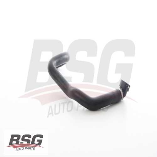 RADYATÖR HORTUMU ALT  3,0 D DUCATO III 06-