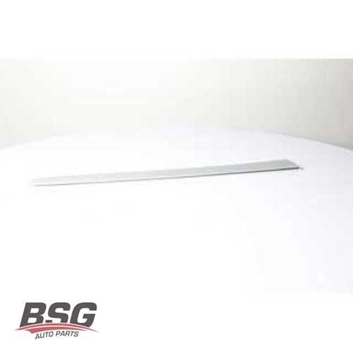 KAPI BANDI ARKA SAG (BOYANIR) B.M 206 00-