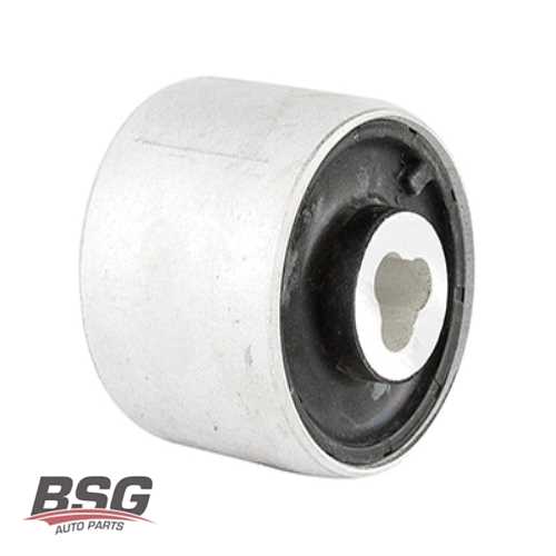 SALINCAK BURCU  BM W212 09-