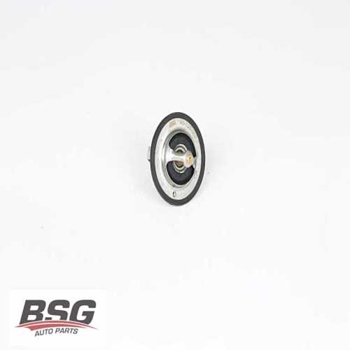 TERMOSTAT 88 CC 54 LÜK BENZIN ACCENT MIL/EXCEL/SPORTAGE 2000-2002 Ürün Görseli