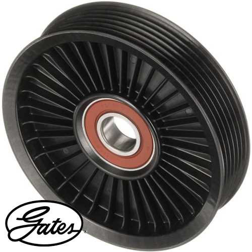 KORE SEPHIA KORE V KAYIS GERGI KASNAGI Ürün Görseli