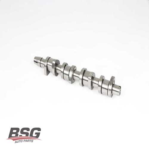 EKSANTRIK MILI  BLS-BMM-BMP 1,9 TDI-2,0 TDI CADDY-PASSAT 04-