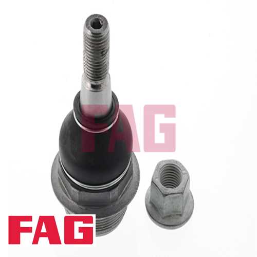 ROTIL ALT SOL  BM MASTER III-MOVANO B 09- Ürün Görseli