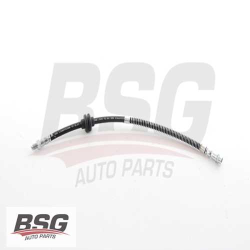 FREN HORTUMU ÖN  BM MEGANE II / SCENIC II 02-