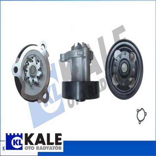 JAPON PRIMERA/X-TRAIL/KALEOS JAPON DEVIRDAIM