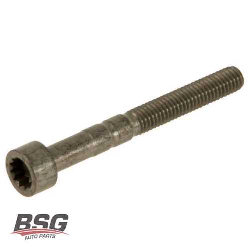 CIVATA EKSANTRIK MIL CIVATASI AMF-BNV-BNM-AXB-AXD-BJB 1,4 TDI-1,9 TDI-2,5 TDI GOLF5-JETTA-PASSAT-CADDY-POLO-A3 01- Ürün Görseli