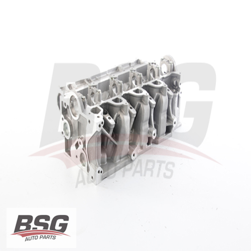 RENAULT FLUENCE/MEGAN III/KANGO II RENAULT SILINDIR KAPAGI 110 BG EUR-5 Ürün Görseli