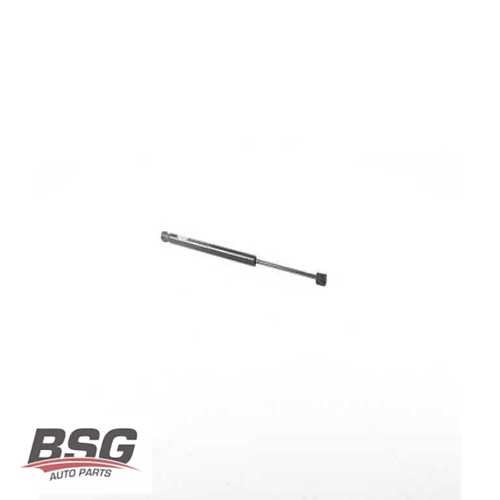BAGAJ AMORTISÖRÜ  B.M DS4 2012-