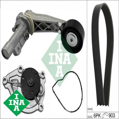 PSA 207/208/308/3008/MINI PSA V KAYIS SETI + DEVIRDAIM + V KAYISI (INA 538 0466 10 + INA 534 0318 10 + 6PK903)